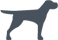 bruji logo
