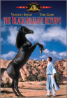 The Black Stallion Returns